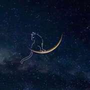 ヒメ日記 2025/05/12 20:02 投稿 莉子/りこ ANEJE～アネージュ池袋～(ユメオト)