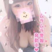 ヒメ日記 2025/04/18 01:18 投稿 ミズダコ　水蛸 女の子市場