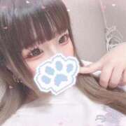 ヒメ日記 2025/10/24 21:28 投稿 ミズダコ　水蛸 女の子市場