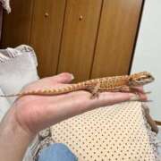 ヒメ日記 2025/06/05 01:06 投稿 水神 りり 横浜ダンディー