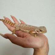 ヒメ日記 2025/07/15 18:46 投稿 水神 りり 横浜ダンディー