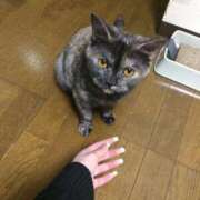 ヒメ日記 2025/09/26 10:26 投稿 柊 あゆ 横浜ダンディー