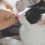 ヒメ日記 2026/02/09 18:36 投稿 柊 あゆ 横浜ダンディー