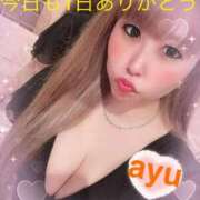 ヒメ日記 2026/02/15 19:46 投稿 柊 あゆ 横浜ダンディー