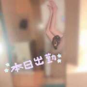 ヒメ日記 2025/05/23 08:06 投稿 来栖 れん 横浜ダンディー