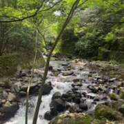 ヒメ日記 2025/06/14 15:16 投稿 来栖 れん 横浜ダンディー