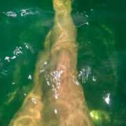 ヒメ日記 2026/01/02 09:59 投稿 黒木 川崎人妻城