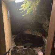 ヒメ日記 2025/07/16 00:44 投稿 のぞみ No.1～ナンバーワン～