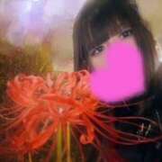 ヒメ日記 2025/10/05 16:28 投稿 のぞみ No.1～ナンバーワン～