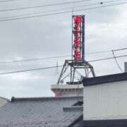 ヒメ日記 2025/10/29 10:10 投稿 のぞみ No.1～ナンバーワン～