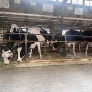 ヒメ日記 2025/11/05 10:11 投稿 のぞみ No.1～ナンバーワン～