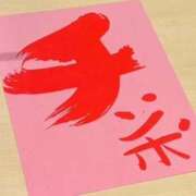 ヒメ日記 2025/11/13 17:09 投稿 のぞみ No.1～ナンバーワン～