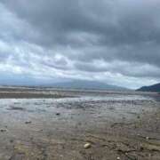 ヒメ日記 2025/11/26 09:00 投稿 ラナ キャンディ(鹿児島)