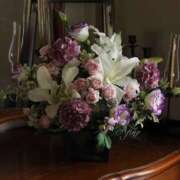 ヒメ日記 2025/12/07 09:45 投稿 ラナ キャンディ(鹿児島)