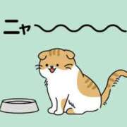 ラナ 予定 キャンディ(鹿児島)