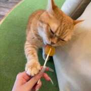 ヒメ日記 2025/07/05 12:51 投稿 ゆかり 秋葉原コスプレ学園(AKG)