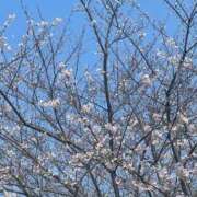 ヒメ日記 2026/03/29 22:54 投稿 黒木ひより プレジデントクラブ