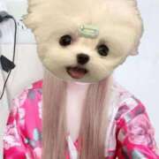 ヒメ日記 2025/10/12 12:57 投稿 くらら いざ候 本館