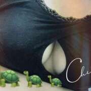 ヒメ日記 2025/04/18 14:50 投稿 亀井 熟女の風俗最終章　鶯谷店