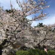 ヒメ日記 2025/04/23 16:16 投稿 亀井 熟女の風俗最終章　鶯谷店