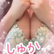 ヒメ日記 2025/04/21 20:22 投稿 しゅか 横浜パフパフチェリーパイ