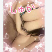 ヒメ日記 2025/04/26 20:13 投稿 しゅか 横浜パフパフチェリーパイ