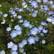 ヒメ日記 2025/05/17 17:52 投稿 える 横浜HANDS（ハンズ）（ユメオト）