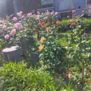 ヒメ日記 2025/05/21 18:29 投稿 える 横浜HANDS（ハンズ）（ユメオト）