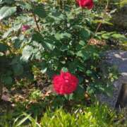 ヒメ日記 2025/06/20 13:10 投稿 える 横浜HANDS（ハンズ）（ユメオト）