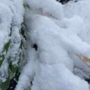 ヒメ日記 2025/12/04 08:20 投稿 なみ すごいエステ仙台店