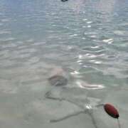 ヒメ日記 2025/07/30 16:50 投稿 リリ◆SP可◆ Ageha(アゲハ)