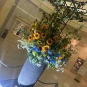 ヒメ日記 2026/09/02 03:08 投稿 せら 熟女の風俗最終章 沼津店