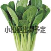 ヒメ日記 2025/05/12 10:16 投稿 小松 そら ユニティ神戸西・明石 人妻熟女