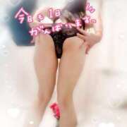 ヒメ日記 2025/08/11 08:49 投稿 小松 そら ユニティ神戸西・明石 人妻熟女