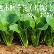 ヒメ日記 2025/12/04 20:24 投稿 小松 そら ユニティ神戸西・明石 人妻熟女