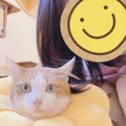 ヒメ日記 2026/01/03 08:50 投稿 小松 そら ユニティ神戸西・明石 人妻熟女