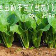 ヒメ日記 2026/07/13 17:10 投稿 小松 そら ユニティ神戸西・明石 人妻熟女