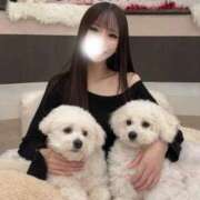 ヒメ日記 2026/02/14 02:34 投稿 ひめ☆REGULAR Club ACE ～クラブエース～ 山口店