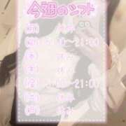 ヒメ日記 2026/07/13 07:48 投稿 ♡はるこ♡ 梅田ムチぽよ女学院