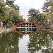 ヒメ日記 2026/03/23 12:09 投稿 るん　僕だけのマドンナ よかろうもん下関本店