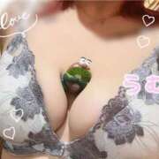 ヒメ日記 2025/10/28 22:01 投稿 らむ 三重四日市ちゃんこ