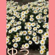 ヒメ日記 2025/04/30 14:34 投稿 鮎川ゆう 五十路マダムエクスプレス横浜店（カサブランカグループ）