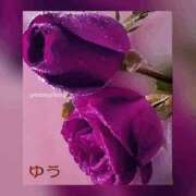 ヒメ日記 2025/05/13 00:16 投稿 鮎川ゆう 五十路マダムエクスプレス横浜店（カサブランカグループ）