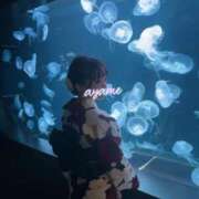 ヒメ日記 2025/06/27 09:26 投稿 桜瀬あやめ（美尻・小柄・細身） ソープランド ZERO