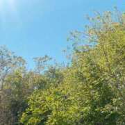 ヒメ日記 2025/04/21 11:09 投稿 きさき CECIL