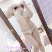 ヒメ日記 2025/06/25 07:10 投稿 きさき CECIL