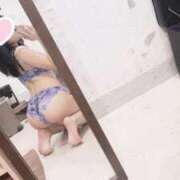 ヒメ日記 2025/09/03 00:21 投稿 きさき CECIL