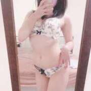 ヒメ日記 2025/09/13 10:58 投稿 きさき CECIL