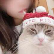 ヒメ日記 2025/11/30 17:32 投稿 きさき CECIL