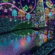 ヒメ日記 2025/12/28 22:26 投稿 きさき CECIL